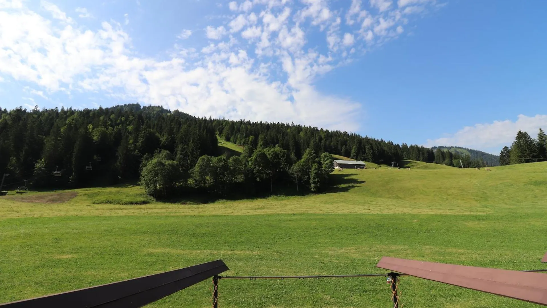 Schelpenalp Berghotel Balderschwang Hotel