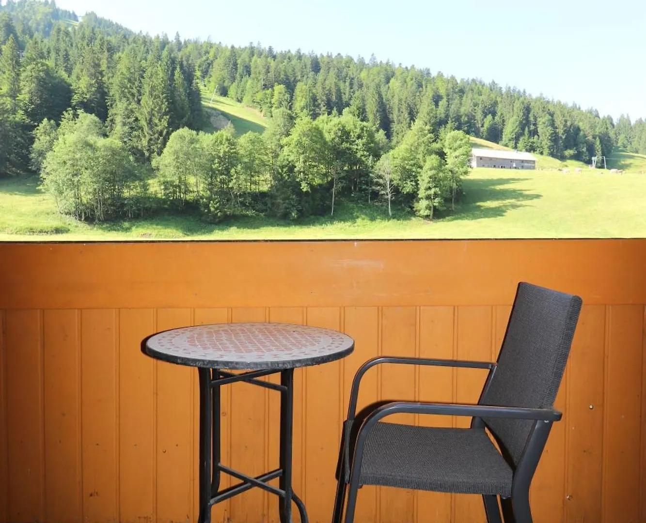 Hotel Schelpenalp Berghotel Balderschwang