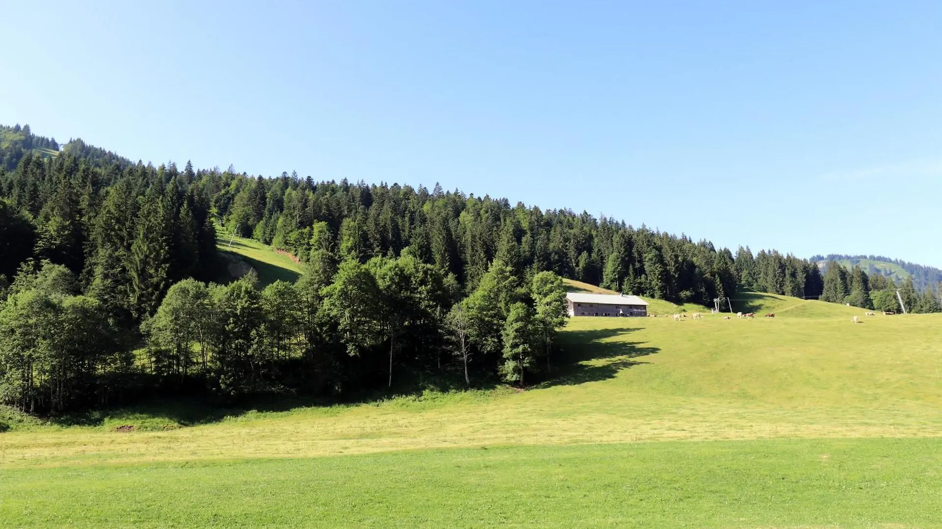 Hotel Schelpenalp Berghotel Balderschwang Germany